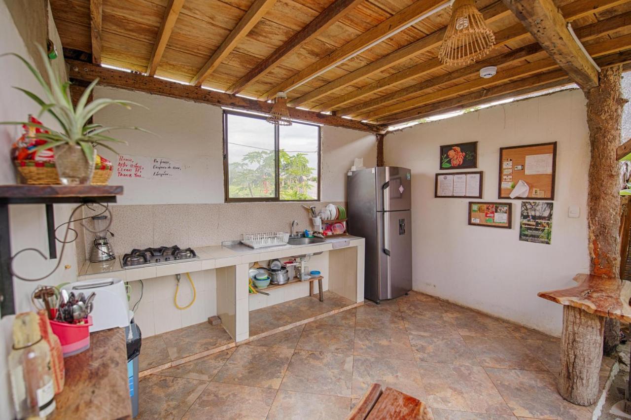 Bella Flor Hostel Паломино Екстериор снимка